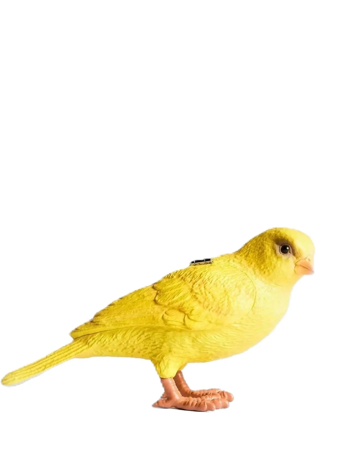 Canary Clutch