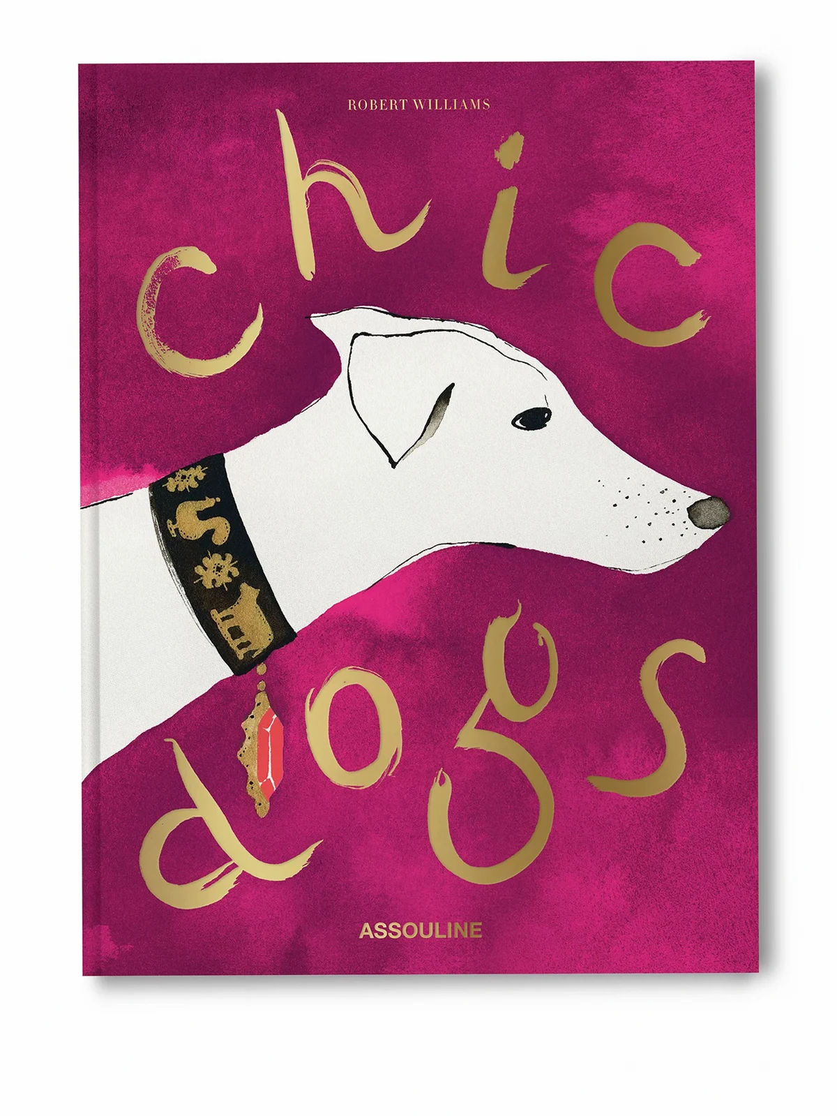 Chic Dogs by Robert Williams Buch