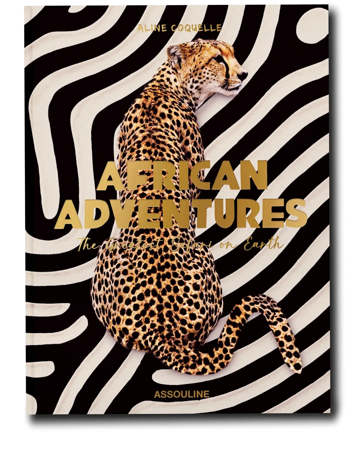 African Adventures: The Greatest Safari on Earth book