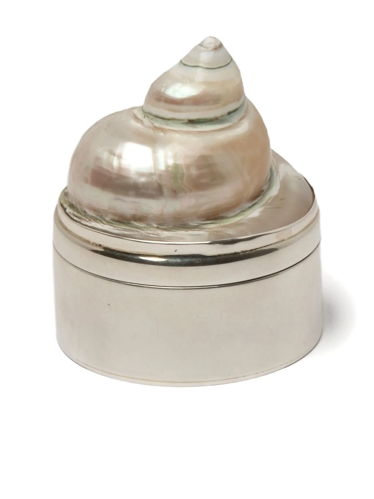 Shell Schmuckkästchen