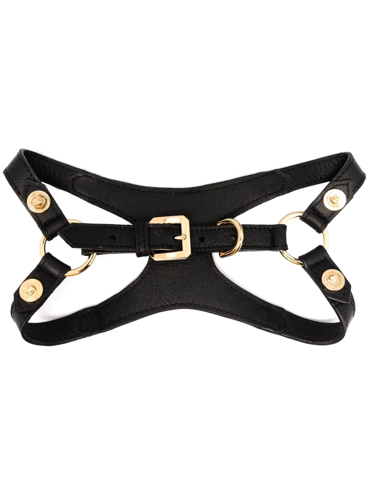 Medusa-stud pet harness