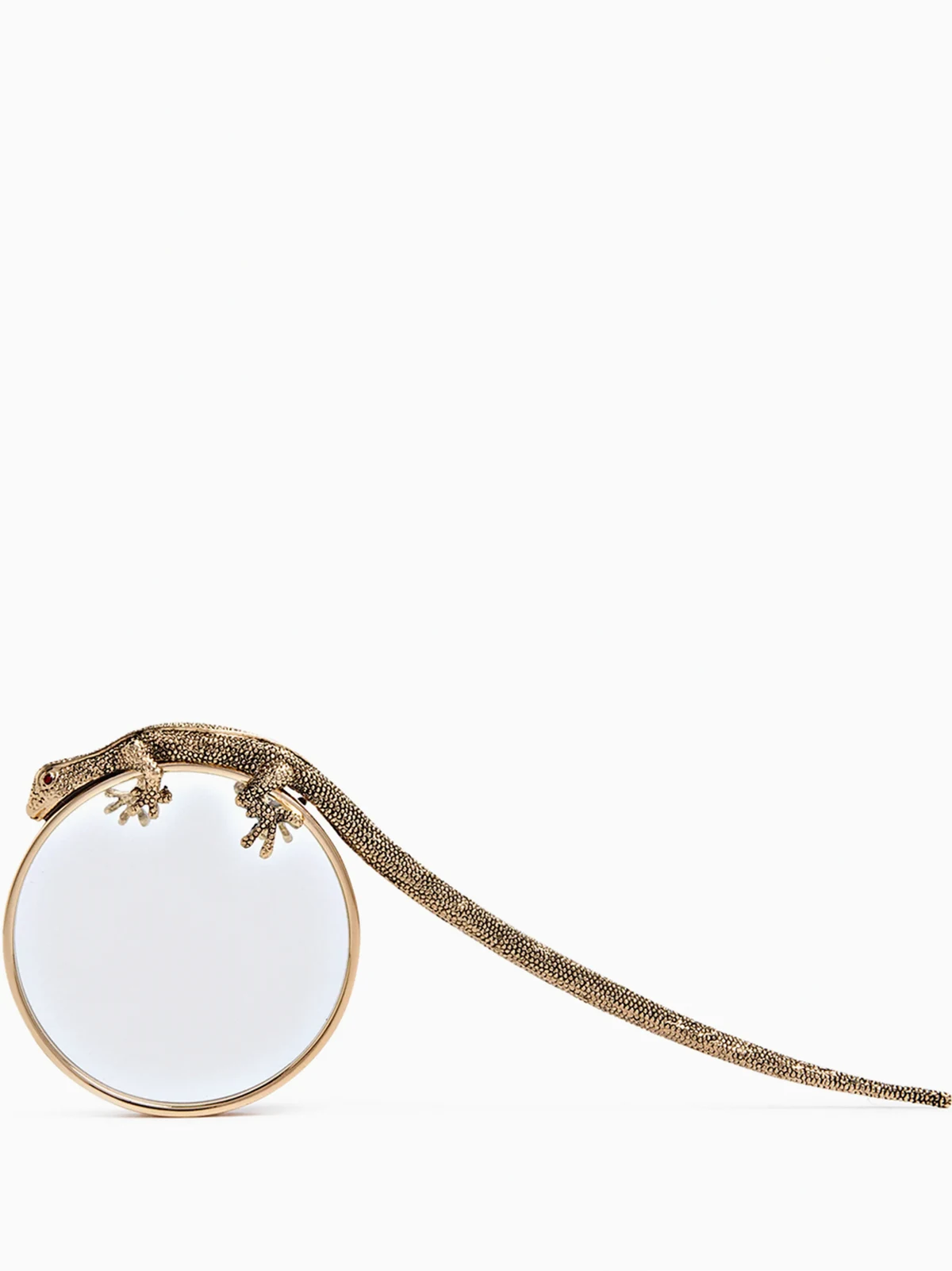 Gecko magnifying glass