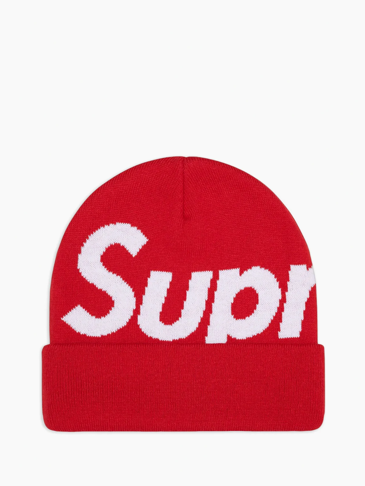 Big Logo beanie hat