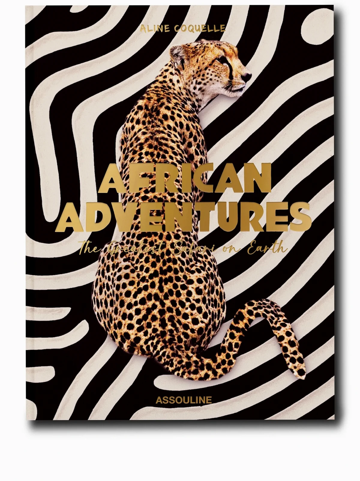 African Adventures: The Greatest Safari on Earth book