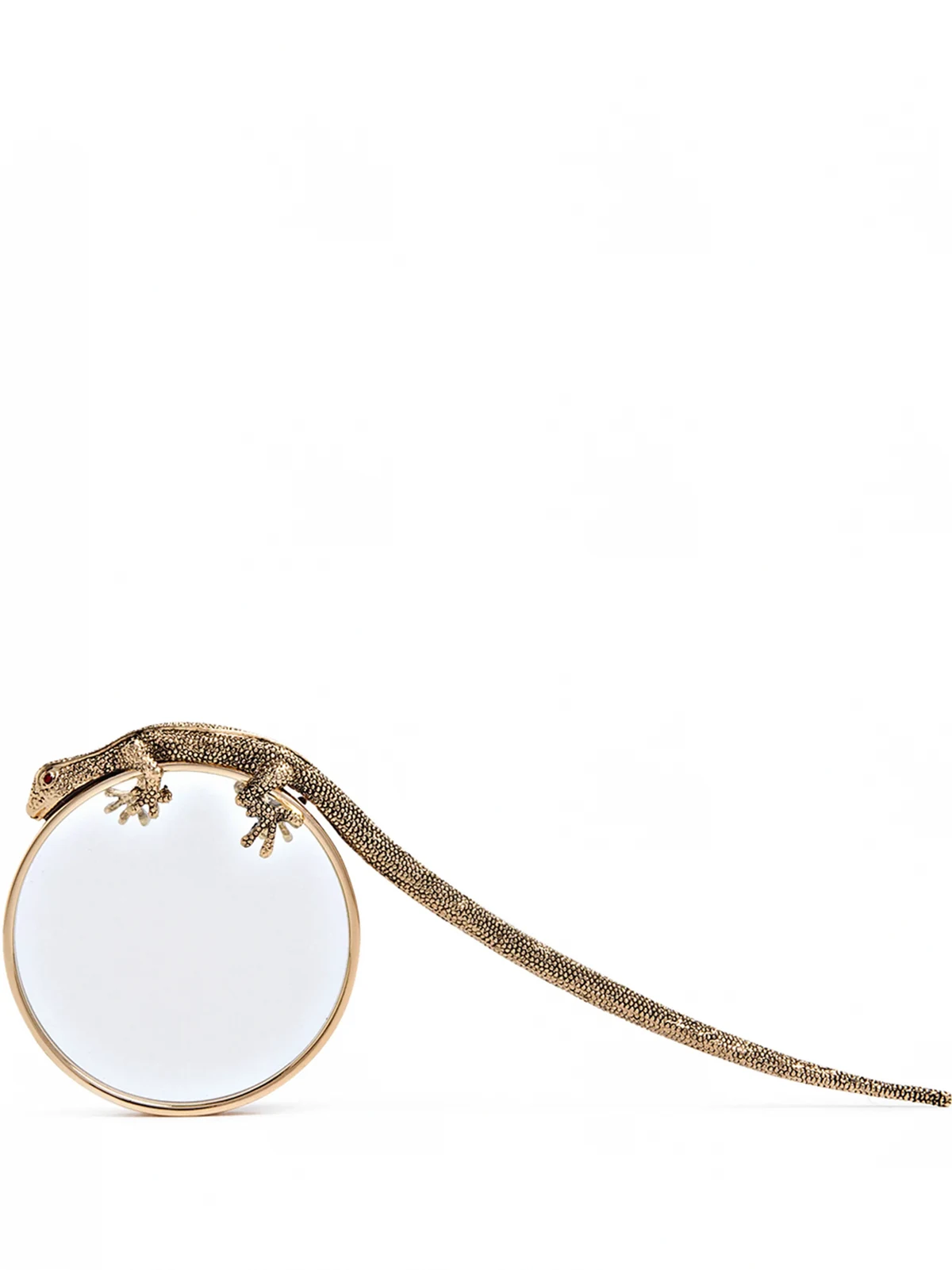 Gecko magnifying glass