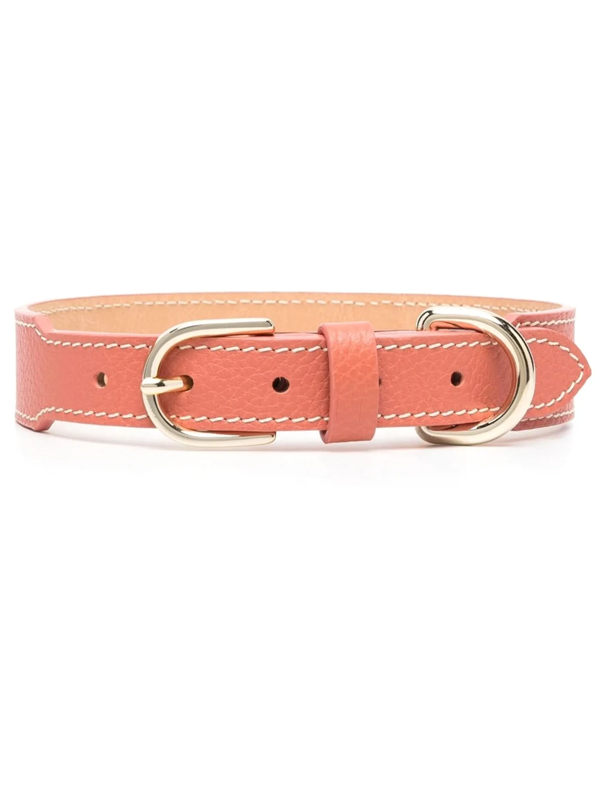 leather pet collar