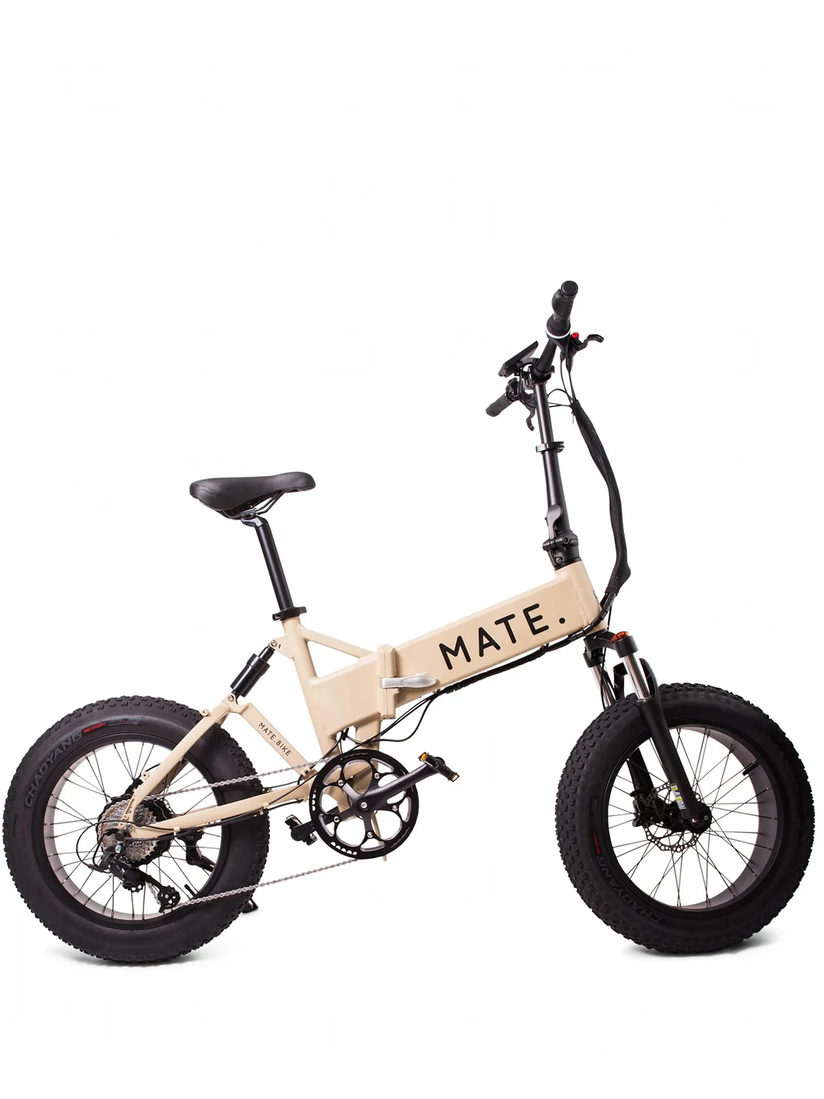 Mate X 250W bike