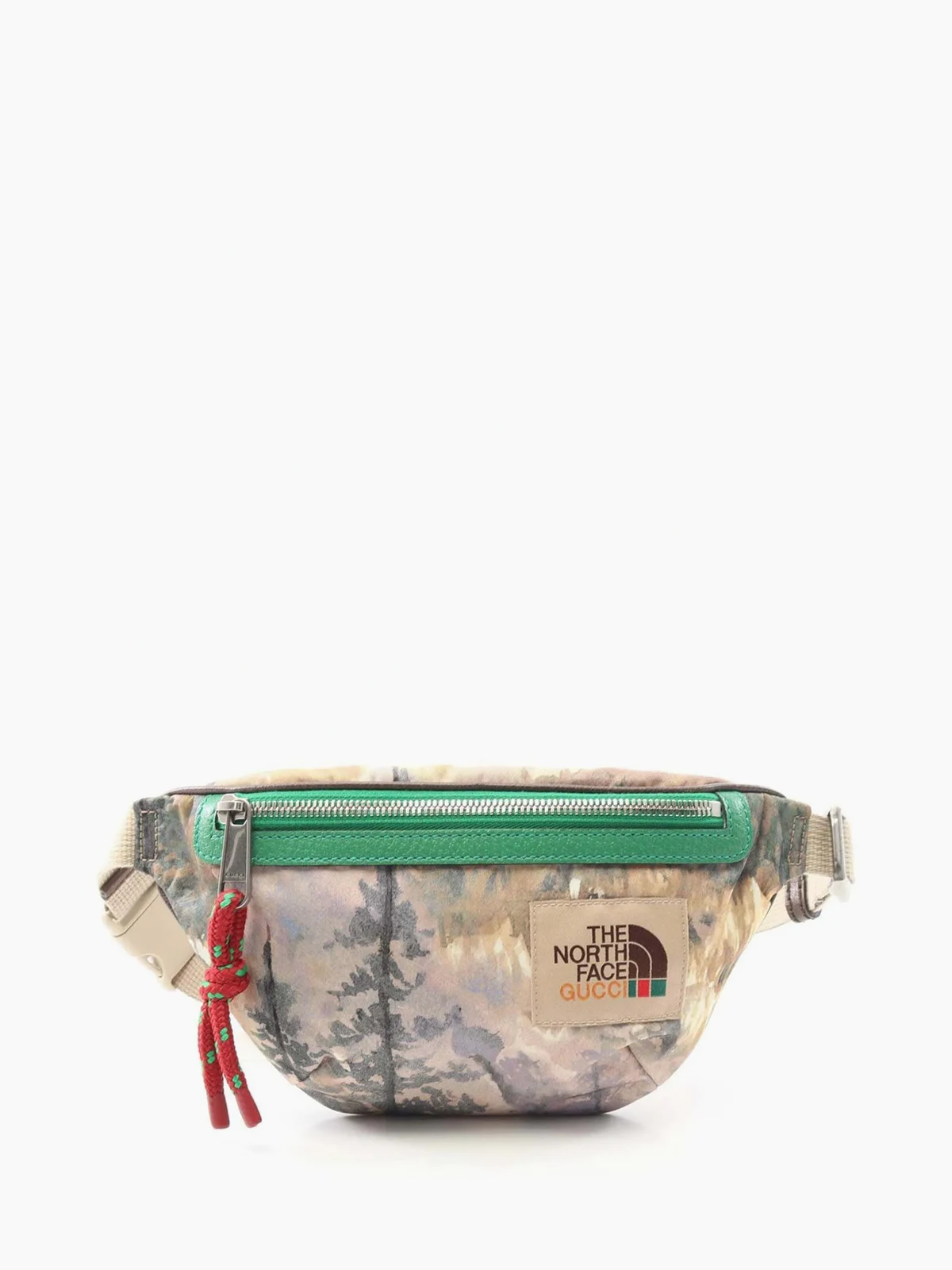 2016-2025 The North Face Econyl belt bag