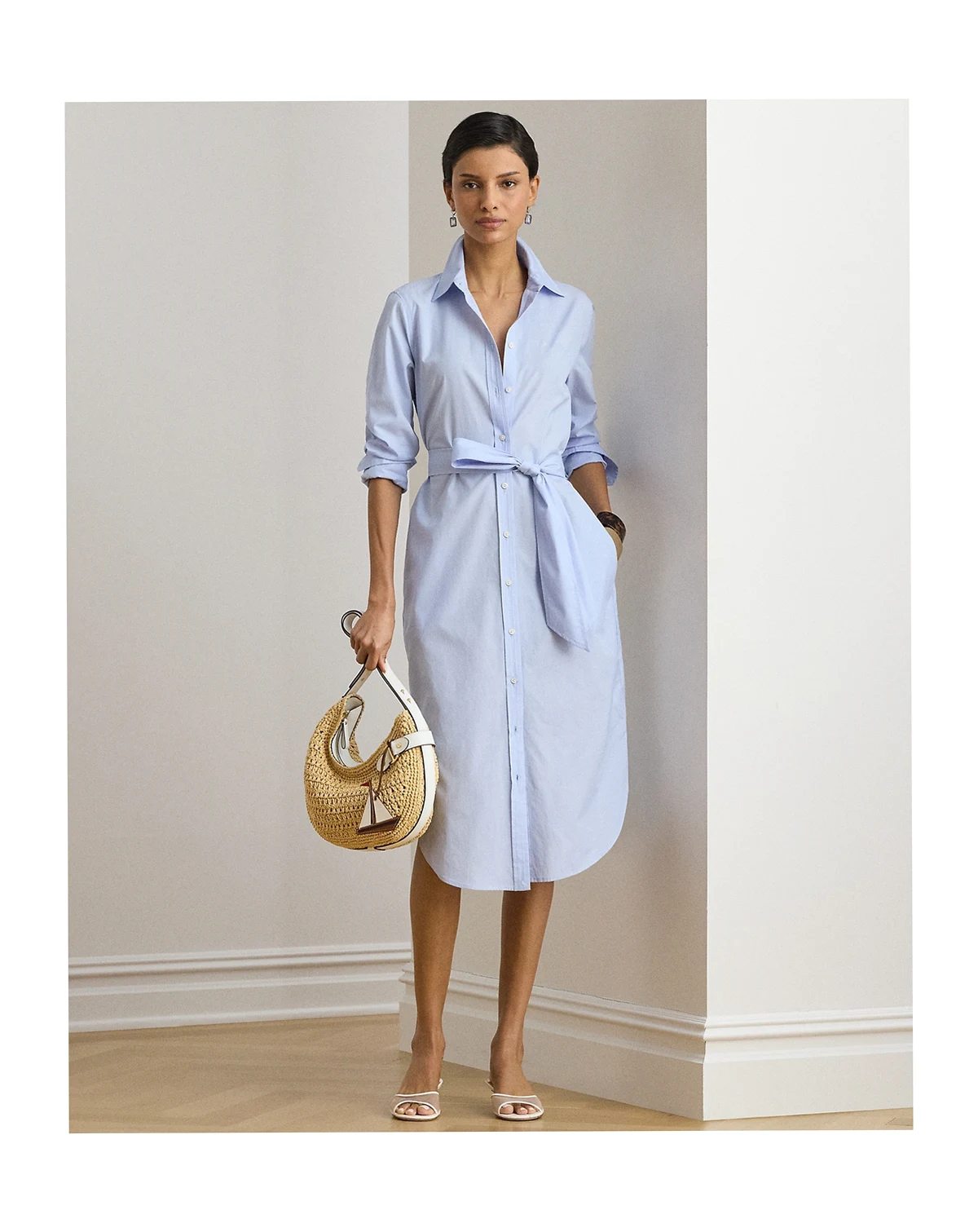 Petite Point Collar Shirt Dress