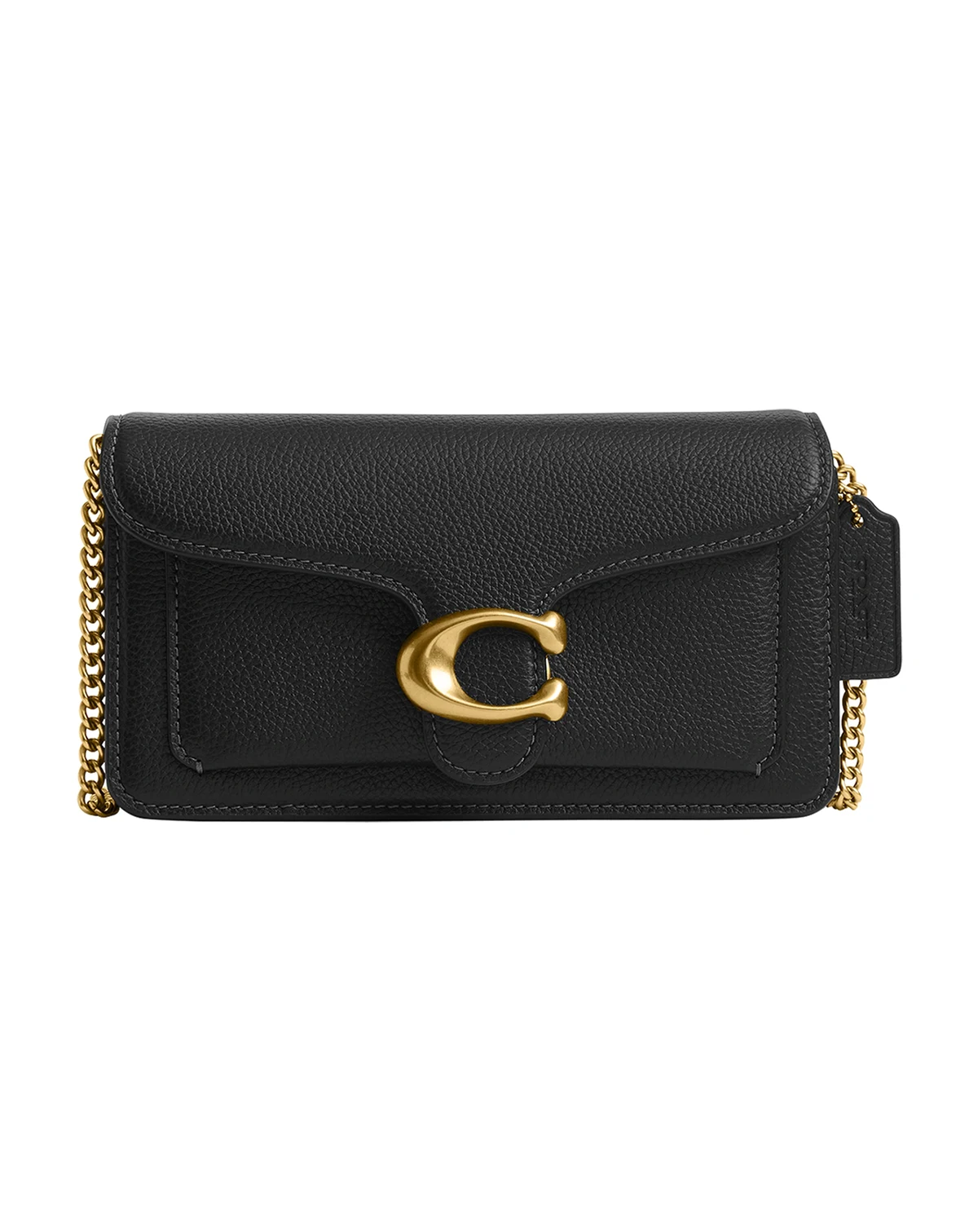 Tabby Mini Pebble Leather Chain Crossbody Bag 19