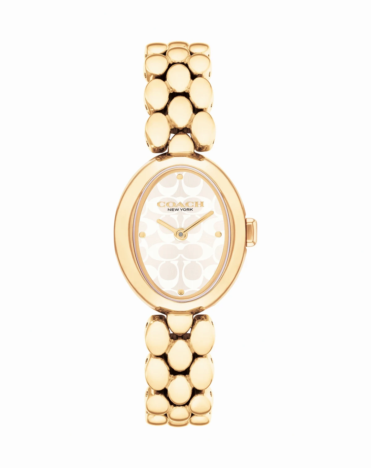 Women's Gold Sammy Stainless Steel Watch 22.5mm