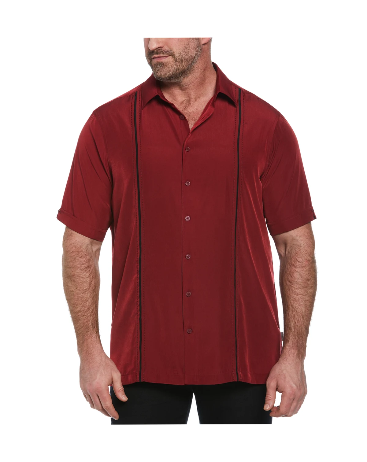 Men's Big & Tall Stripe Short Sleeve Shirt