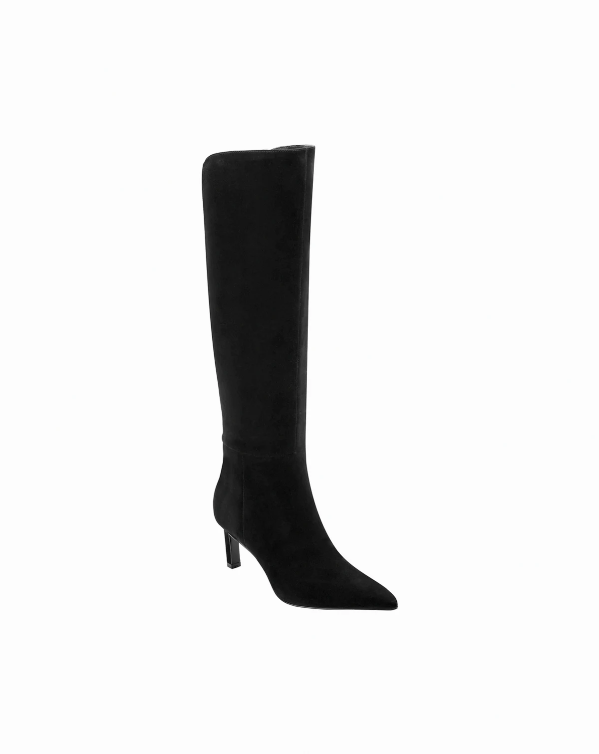 Women's Esmee Tall Pointy Toe Dress Boots