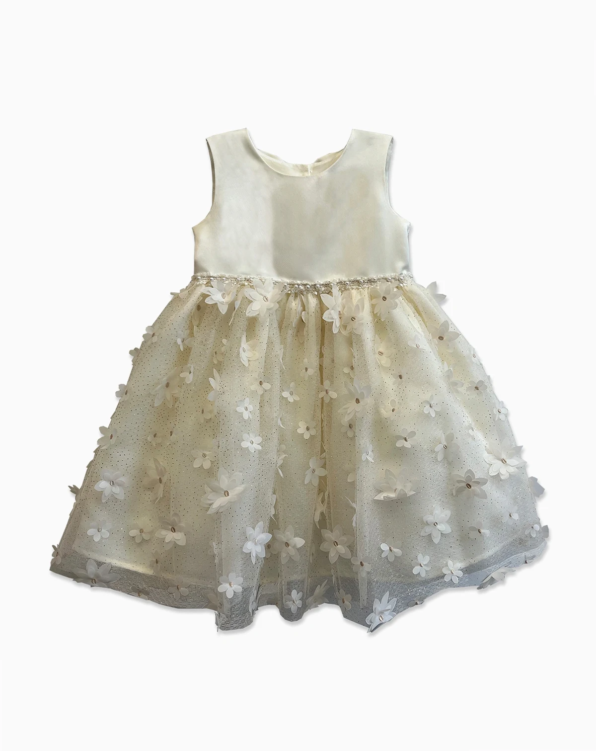 Toddler Girls' 2T-6X Sleeveless Mesh Dress