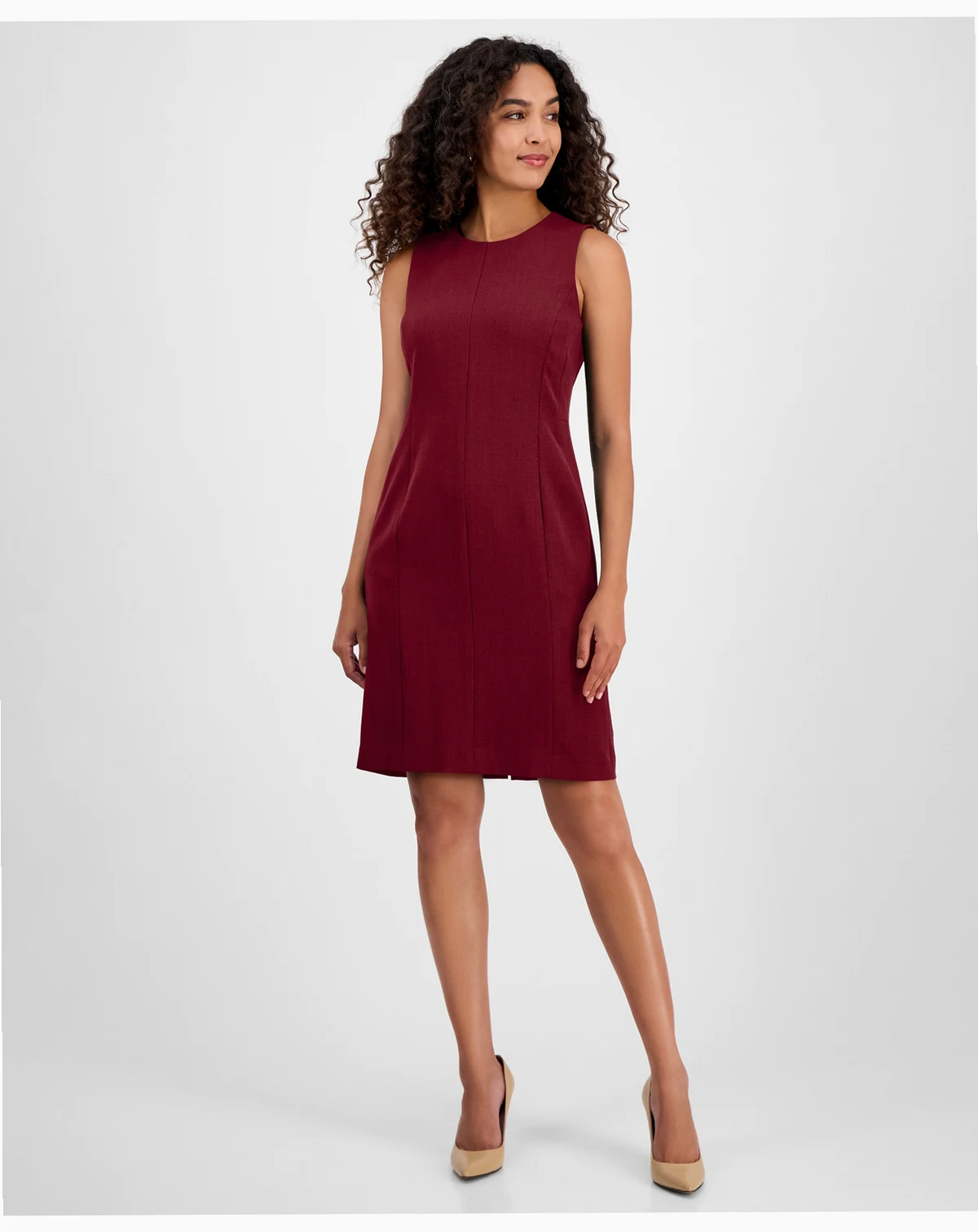 Women's Sleeveless Multi-Seam Sheath Dress, Regular & Petite