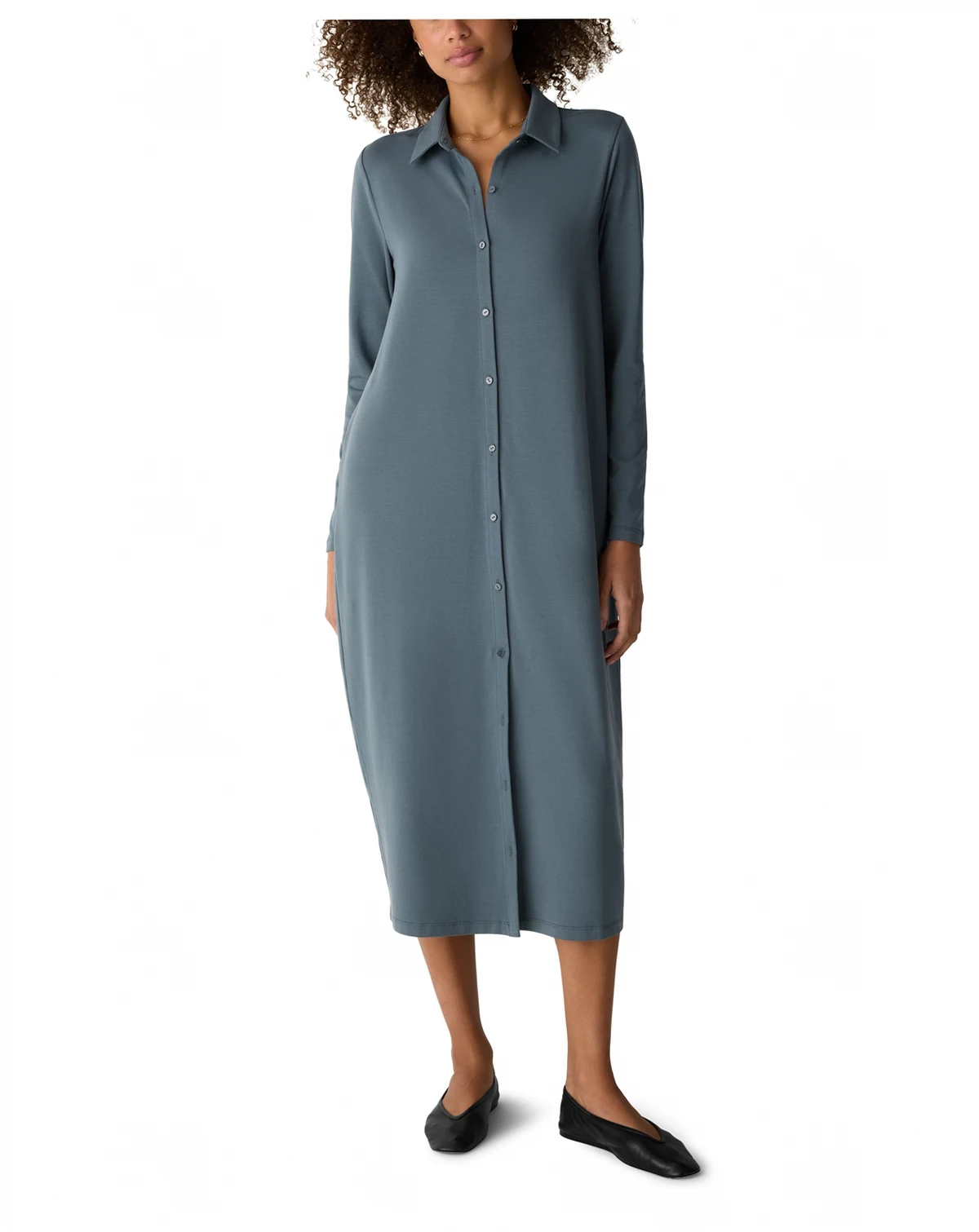 Women's Classic Collar Jersey Shirt Dress, Regular And Petites