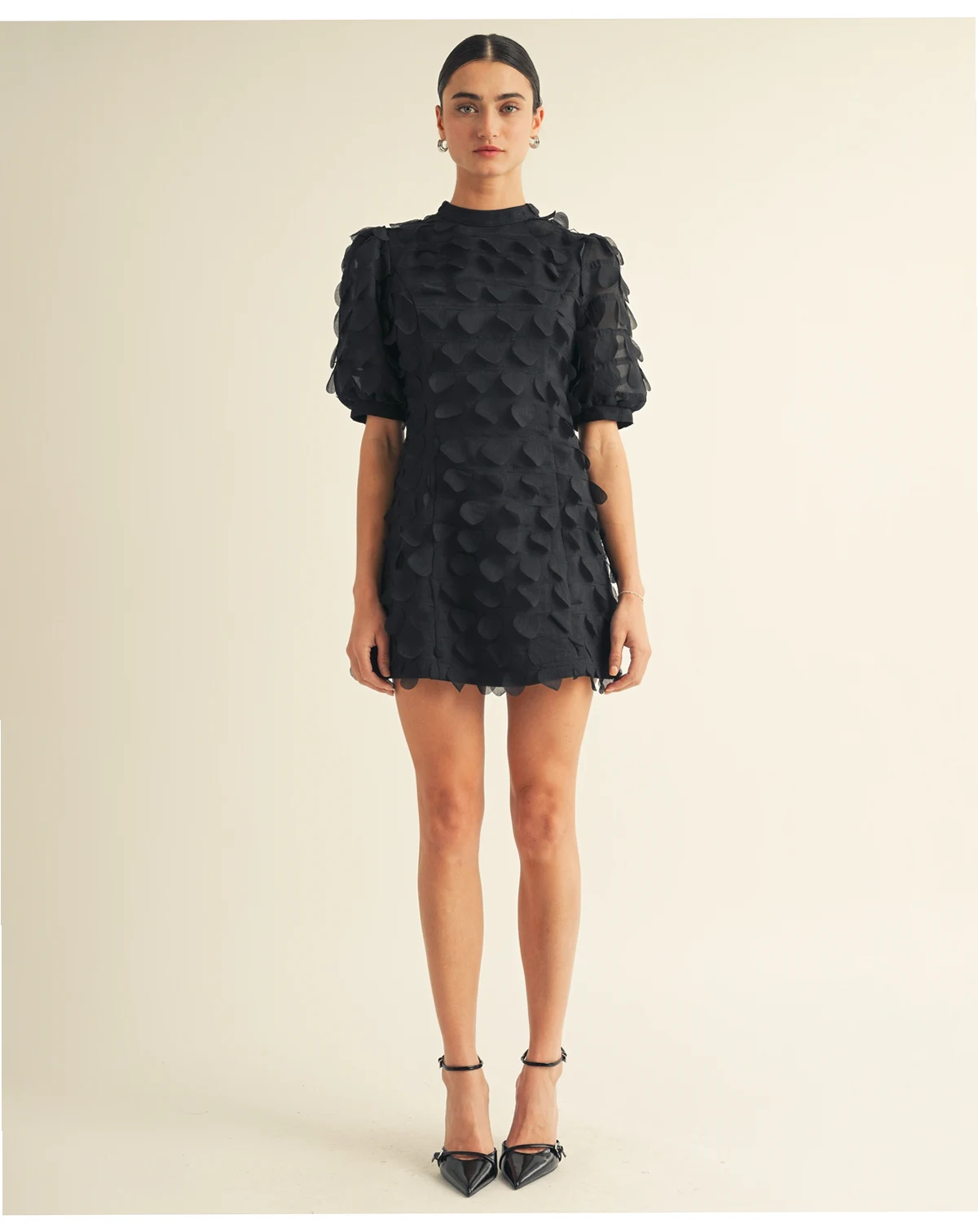 Women’s Crew Neck Puff Sleeve Mini Dress