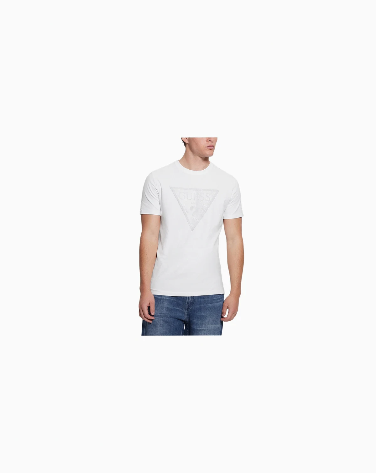 Men's Eco Triangle Crewneck Tee