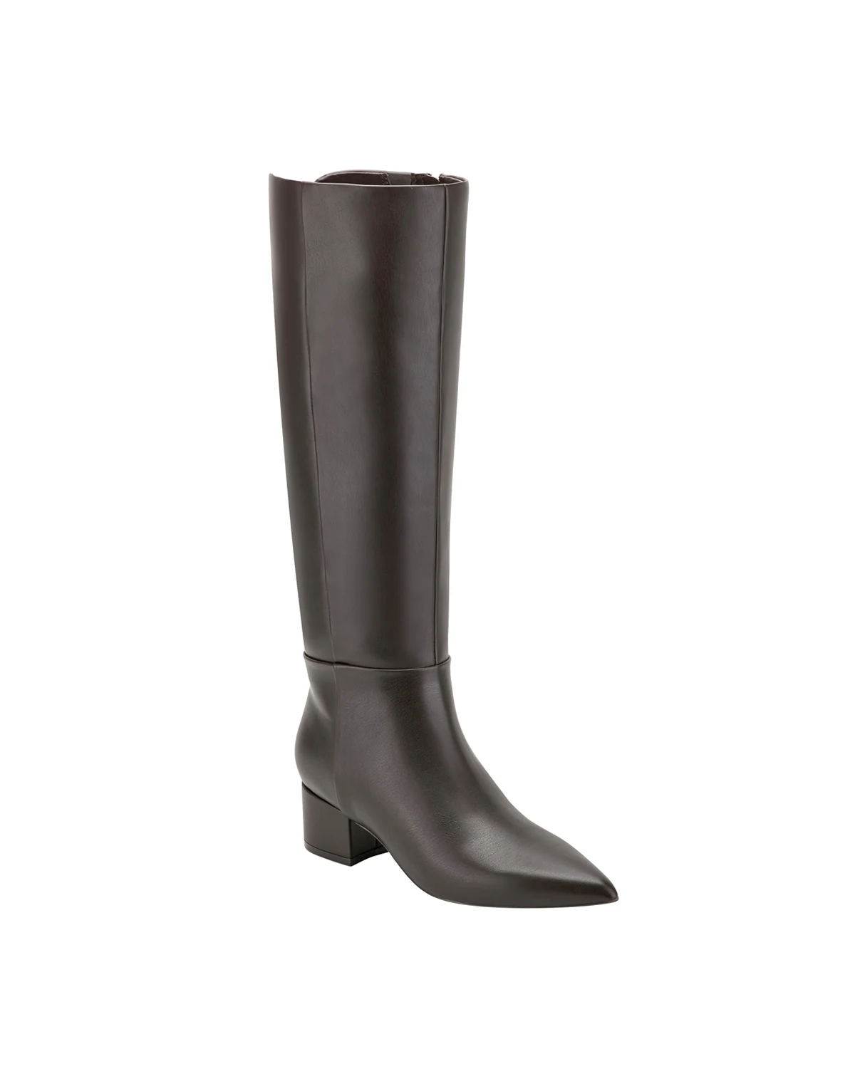 Women's Gradia Tall Pointy Toe Boots, Regular & Wide Calf