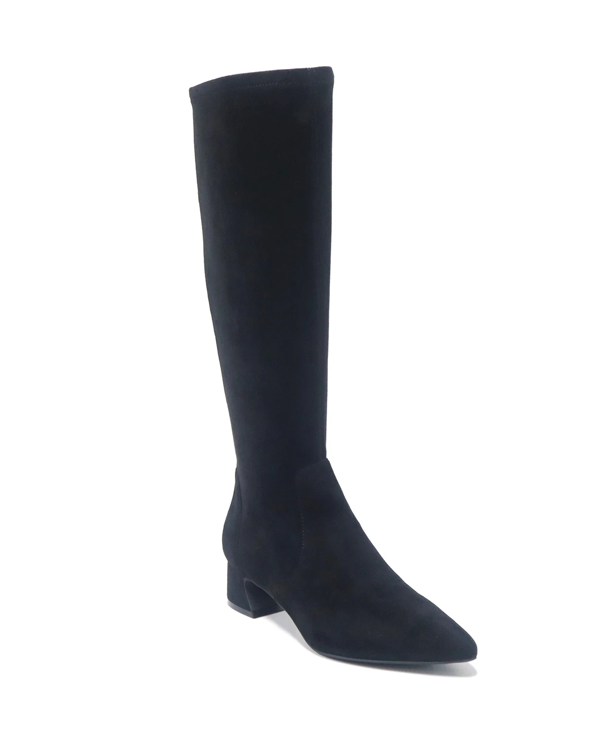 Women's Gallway Pointy Toe Stretch Tall Boots