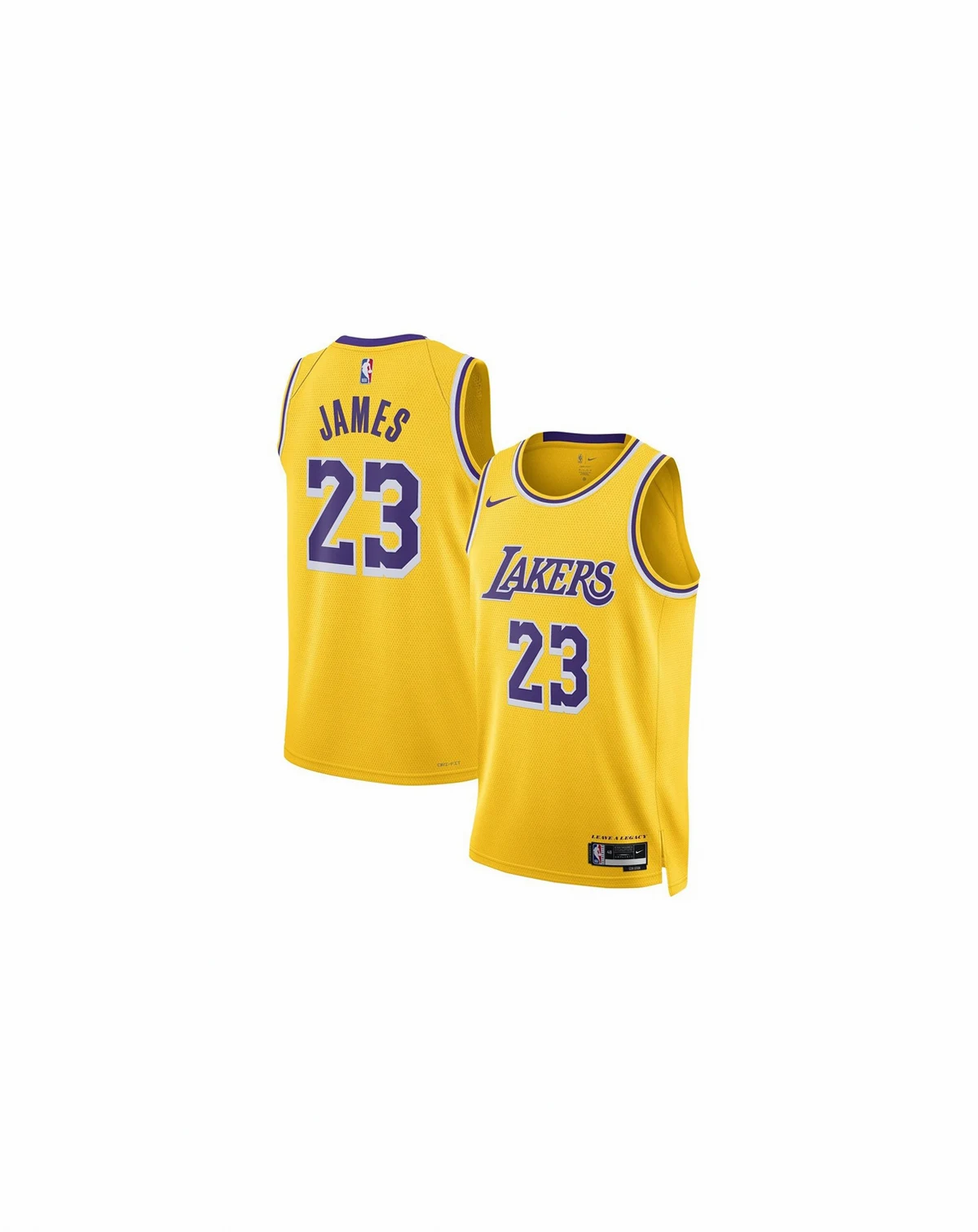 Men's and Women's LeBron James Los Angeles Lakers Swingman Jersey