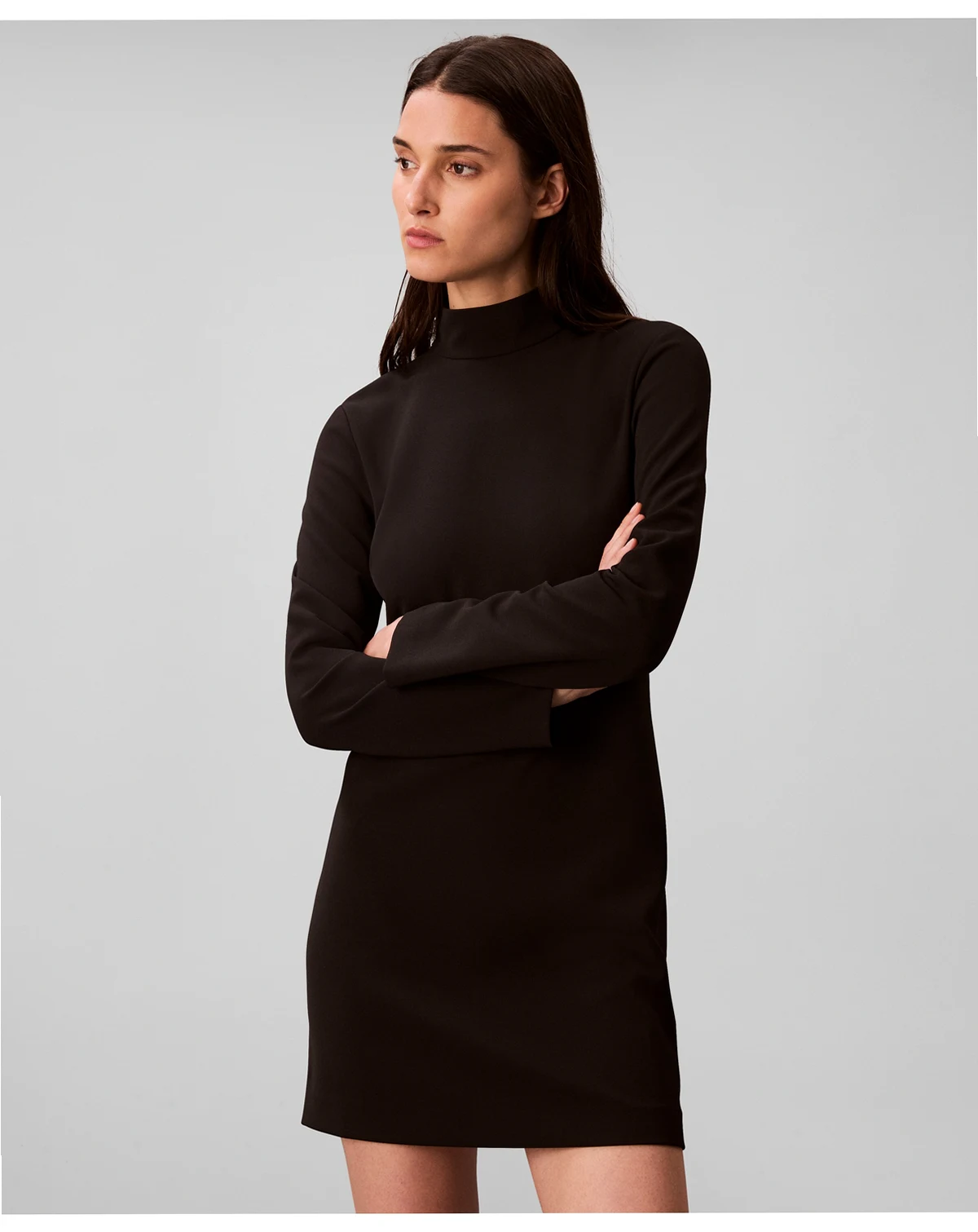 Women's Long Sleeve Turtle Neck Mini Dress