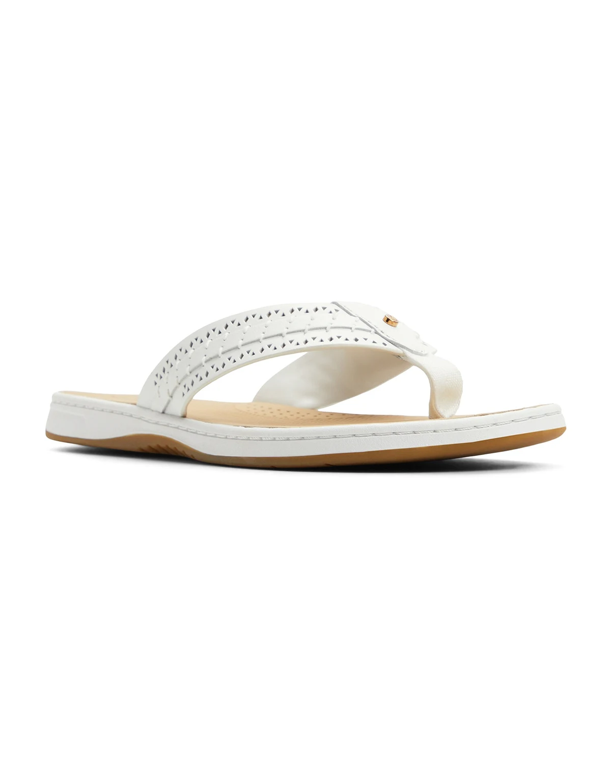 Women's Seafish Flip Flop Sandals, Created for Macy's