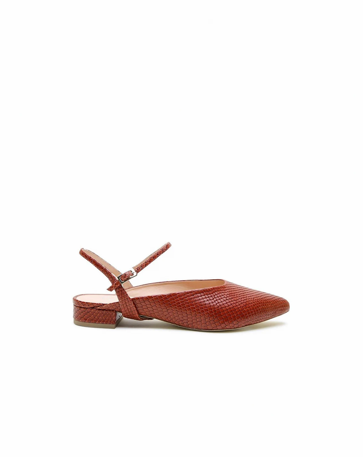 Women's Brown Snake Amal Customizable Point Slide