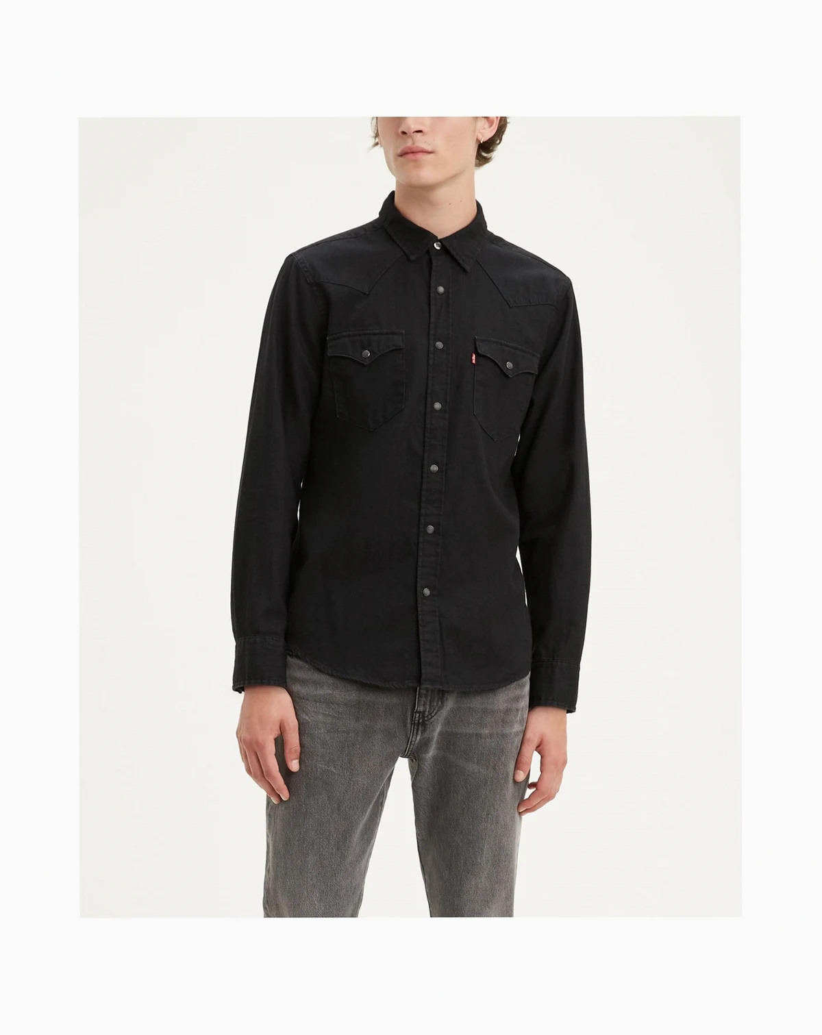 Men's Classic Standard Fit Western Shirt