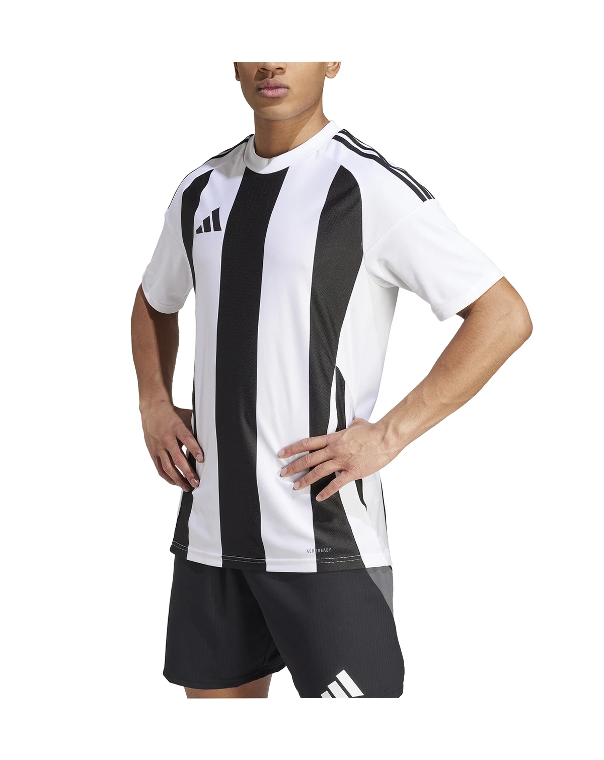 Men's Stripe Logo Jersey T-Shirt