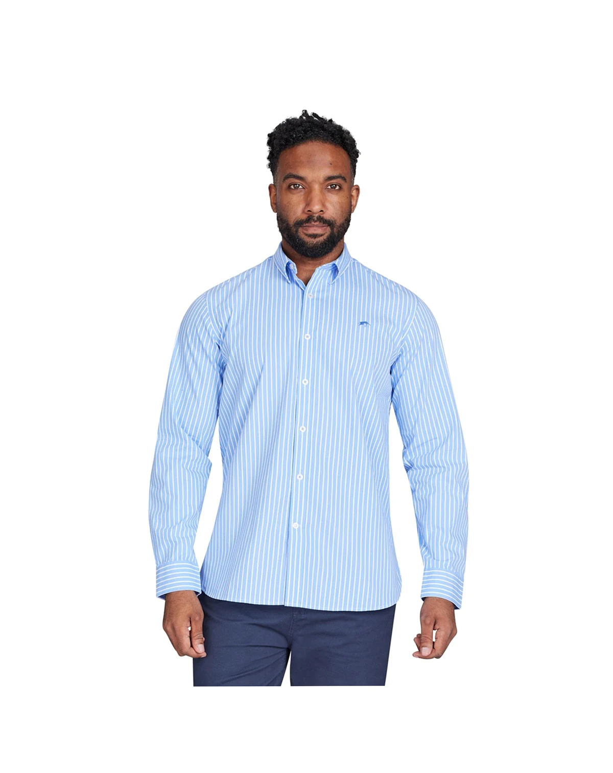 Long Sleeve Stripe Shirt