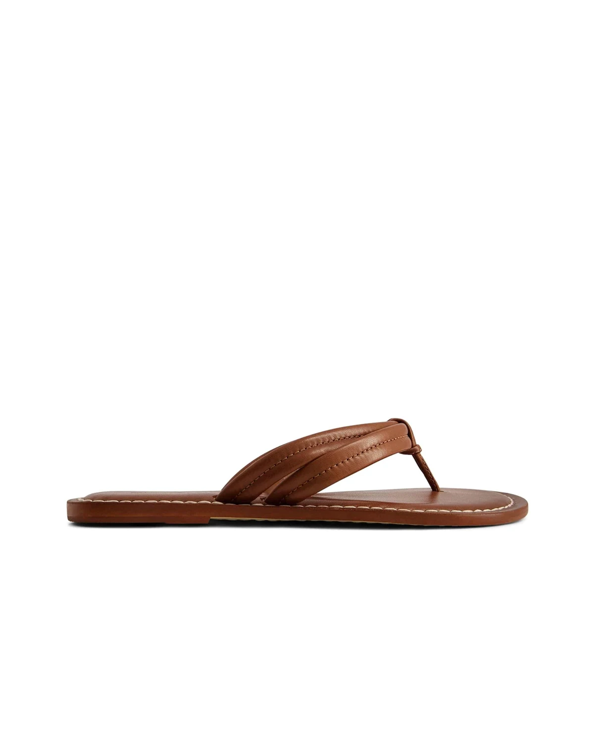 Bernardo Miami Thong Sandal