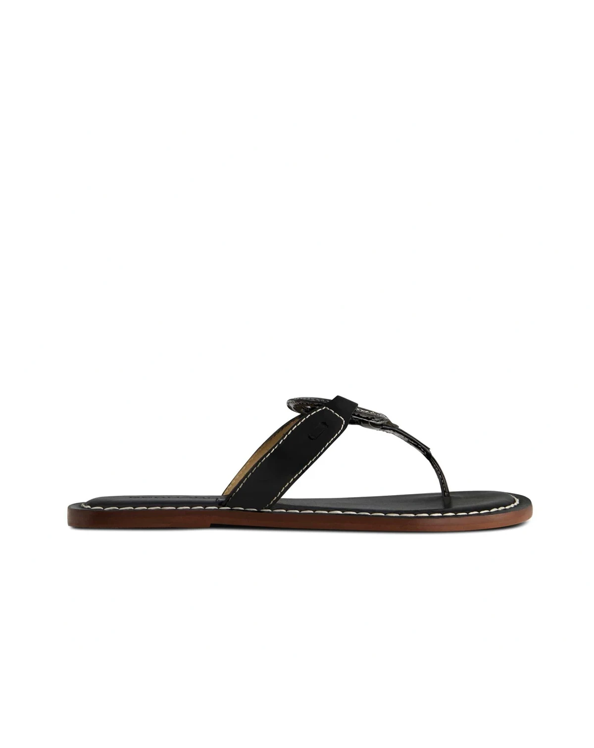 Bernardo Matrix 2 Thong Sandal