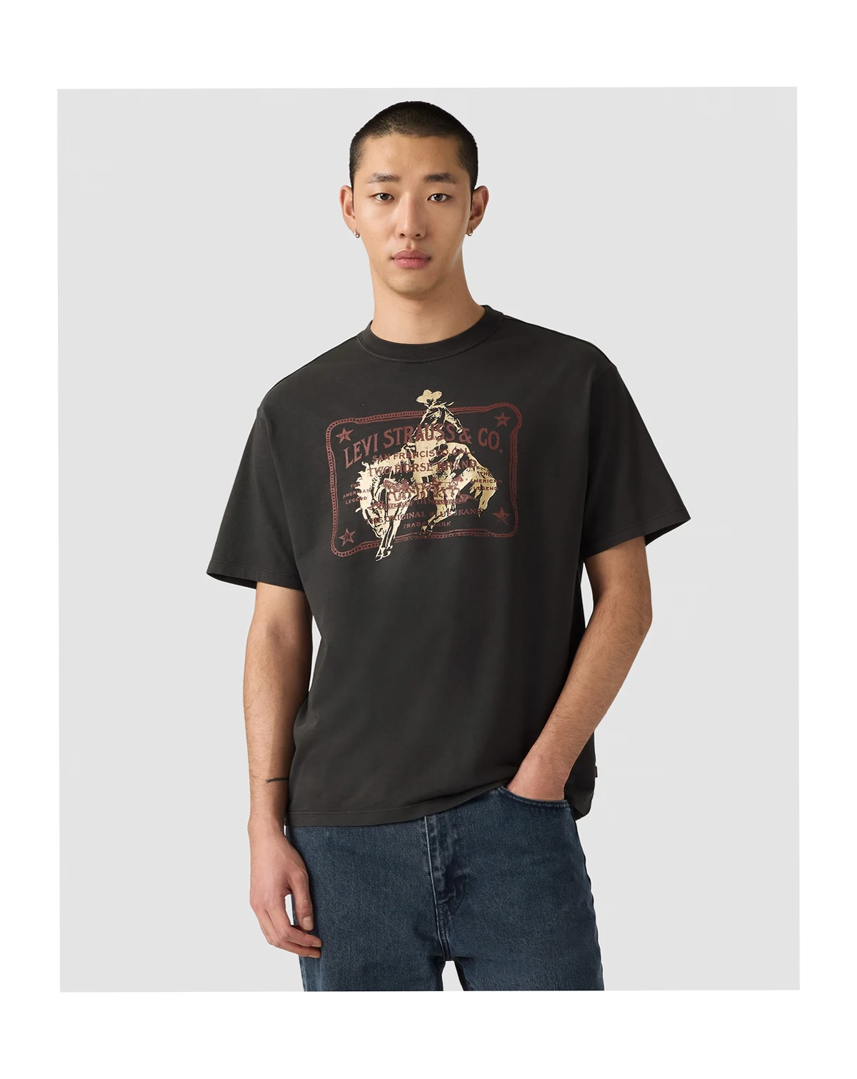 Levis Mens SS Vintage Graphic Tees