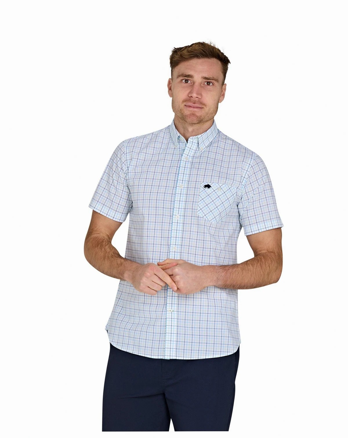 Big & Tall Short Sleeve Cotton Poplin Shirt
