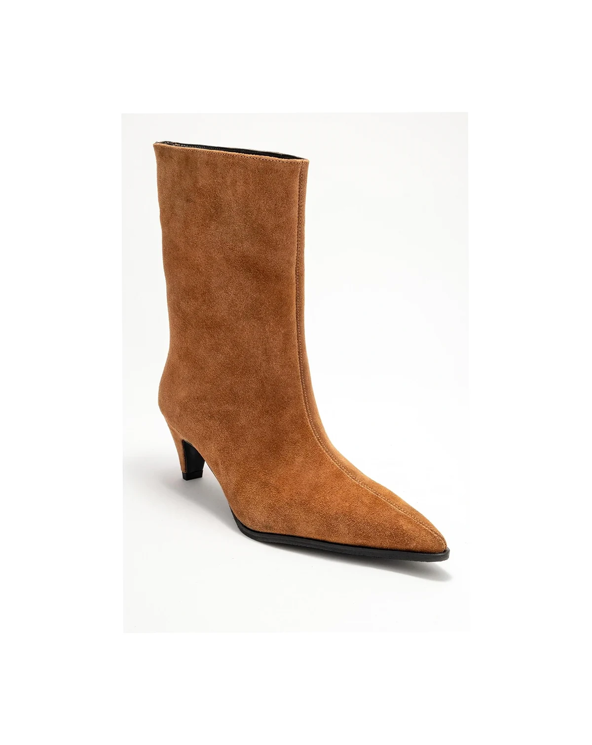 Aleo Leather Pointed Toe Boot (Women)