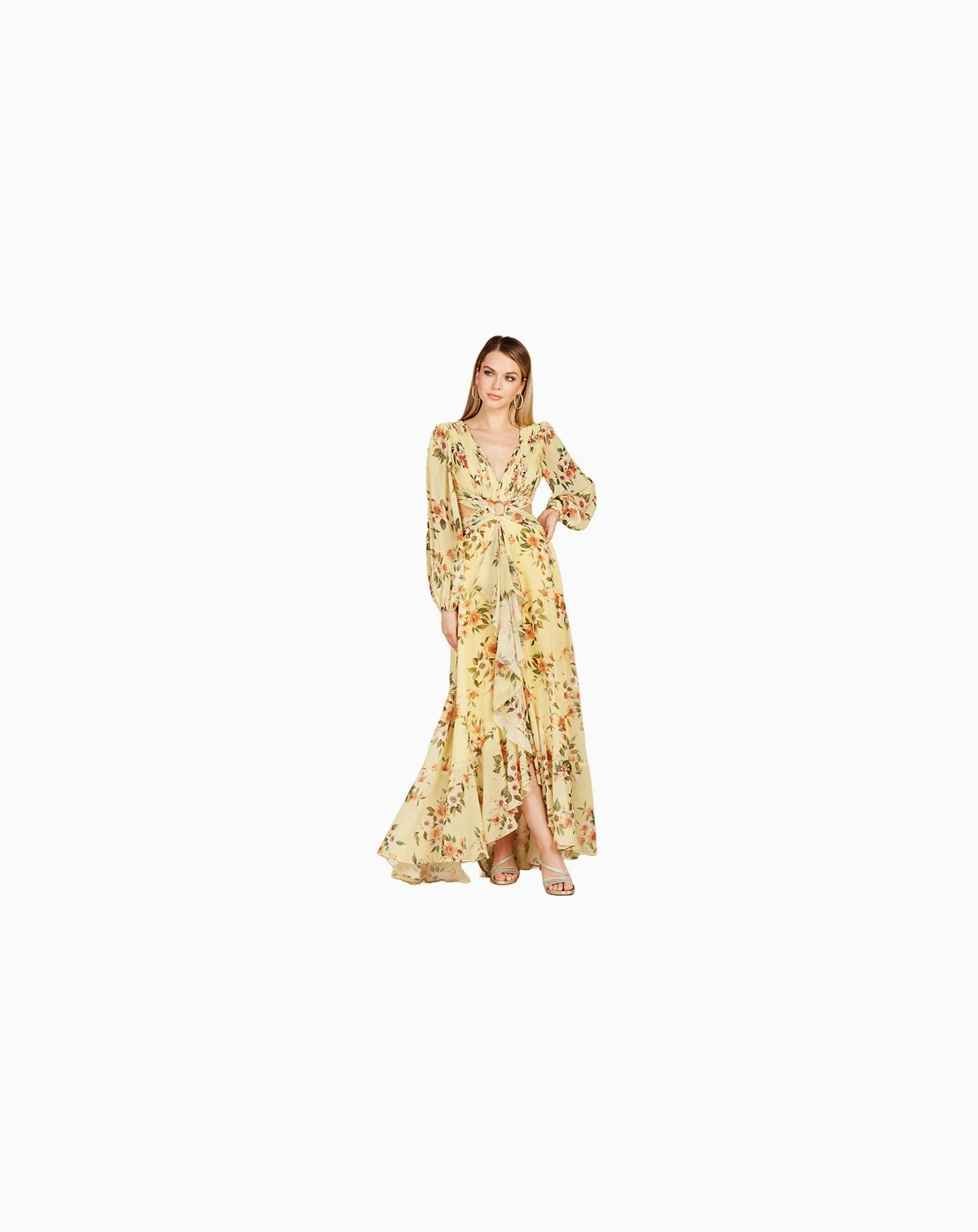 Women's Long Sleeve V-Neck, Layered Skirt Print Dress