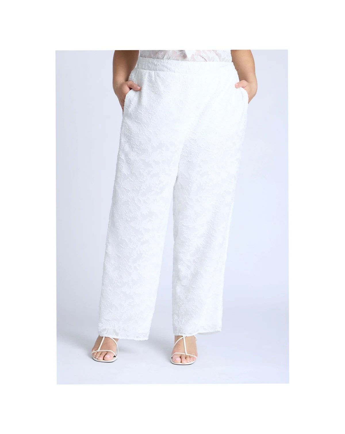 Women's Plus Size Textured Jacquard Pants