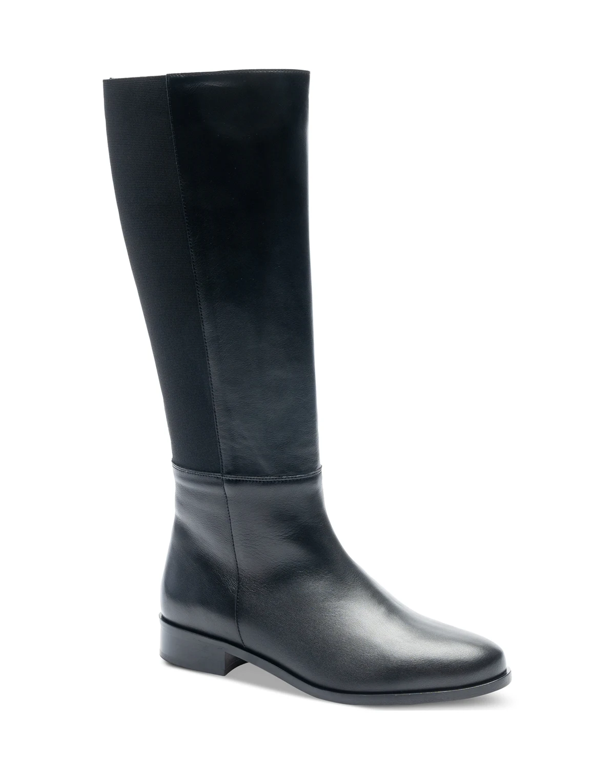 Women's Pisa Stretch Riding Boots