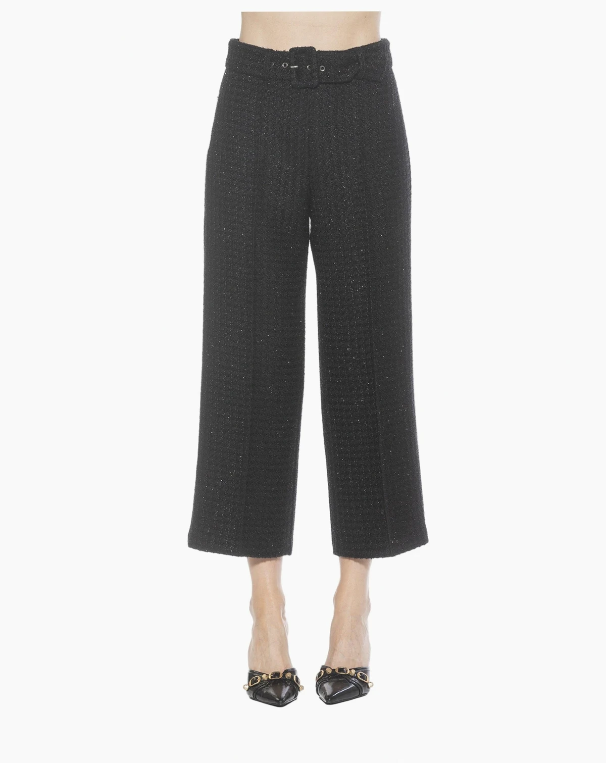 Women's Caden Tweed Belted Wide Leg Pants