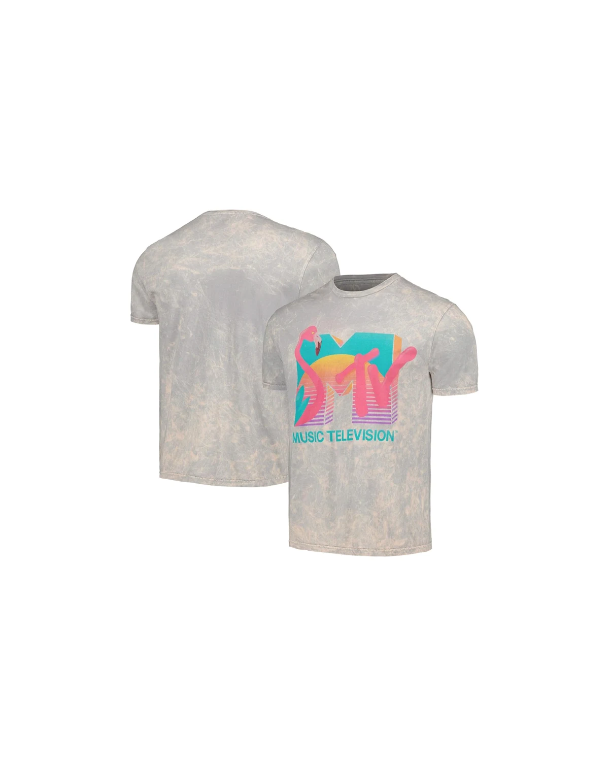 Men's Gray MTV Flamingo Washed T-shirt