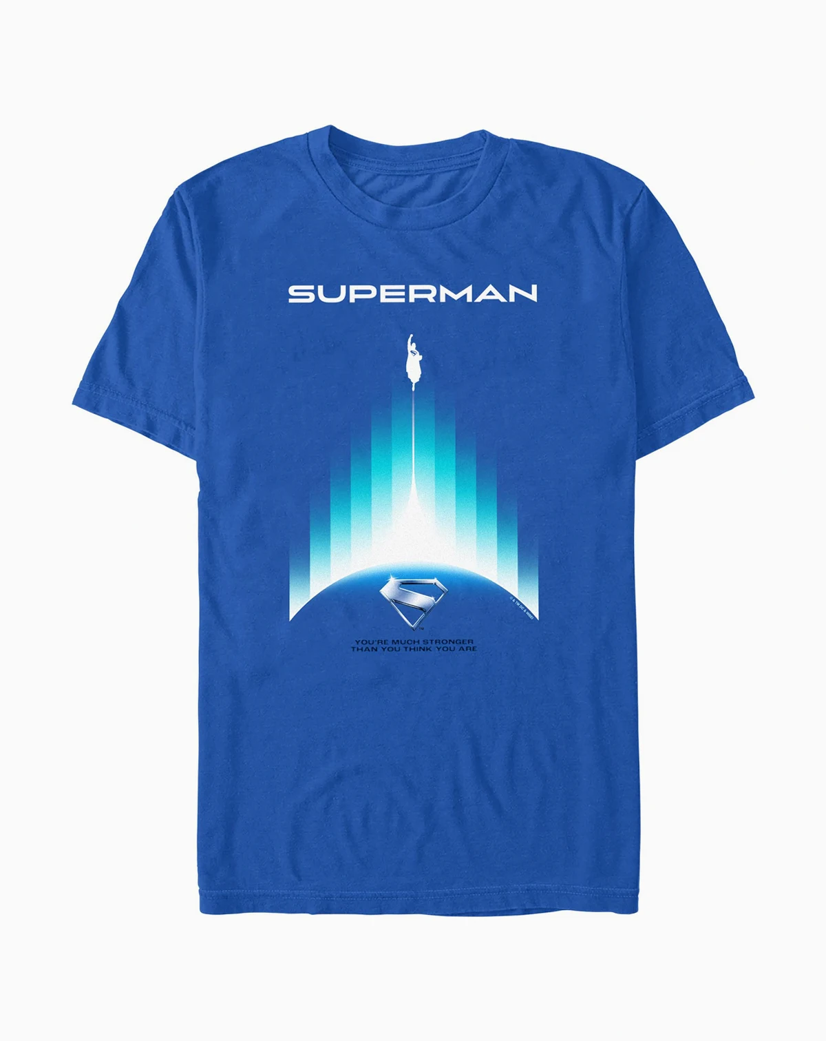 Men's Superman 2025 Regular Fit Crew Neck T-Shirt