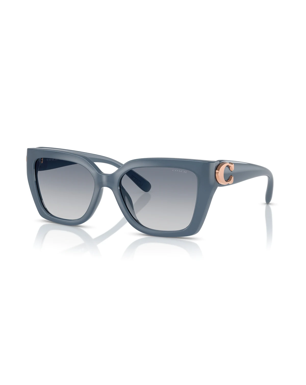 Women's Sunglasses, CW195 HC8408U
