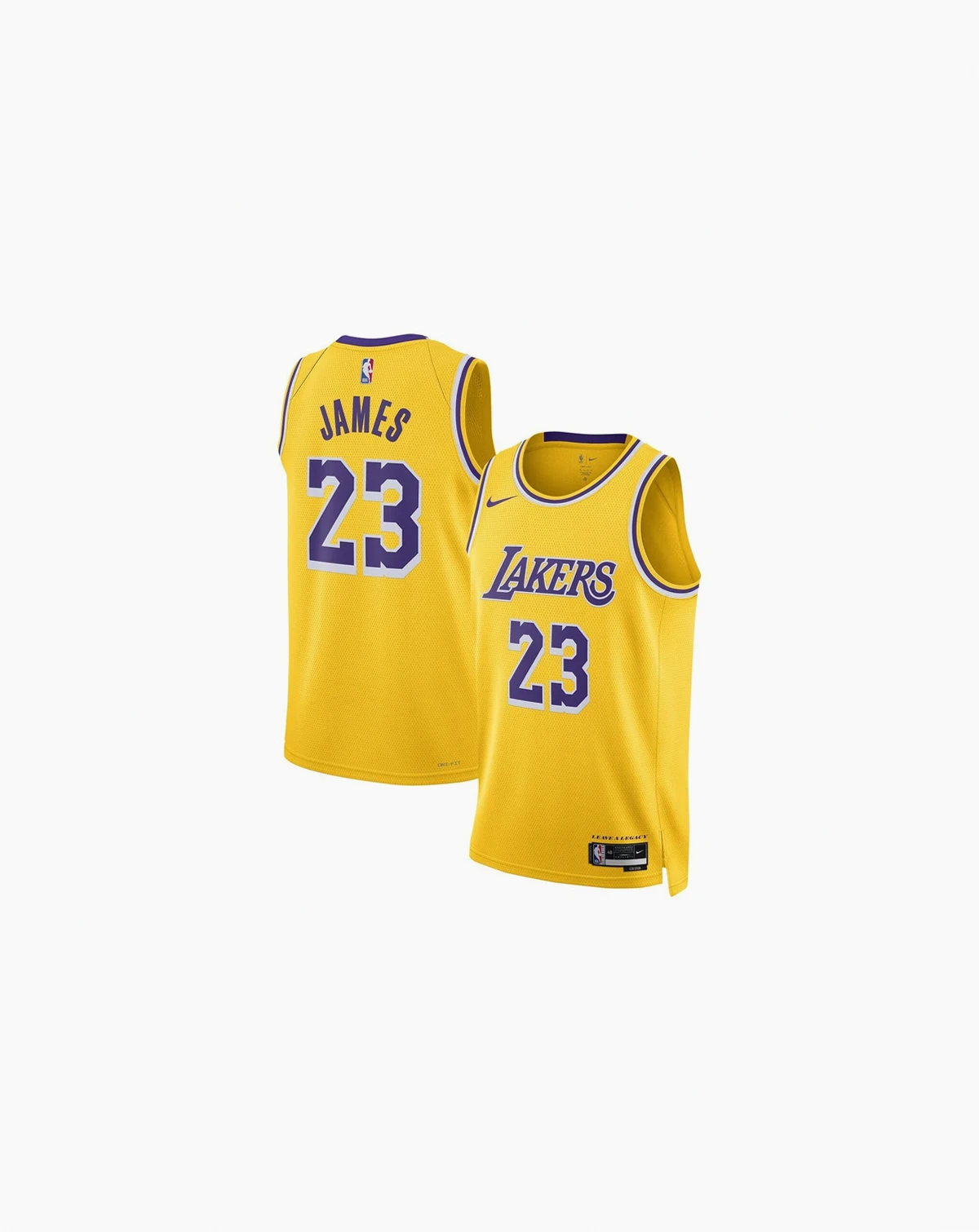 Men's and Women's LeBron James Los Angeles Lakers Swingman Jersey