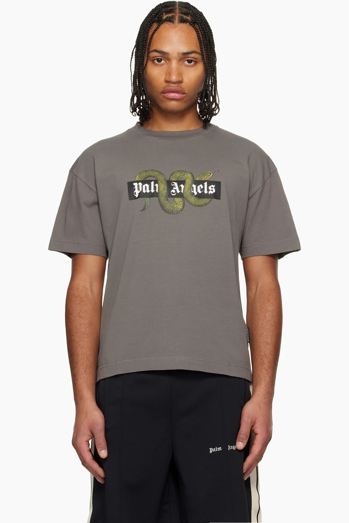 Gray Snake Box Logo Regular T-shirt
