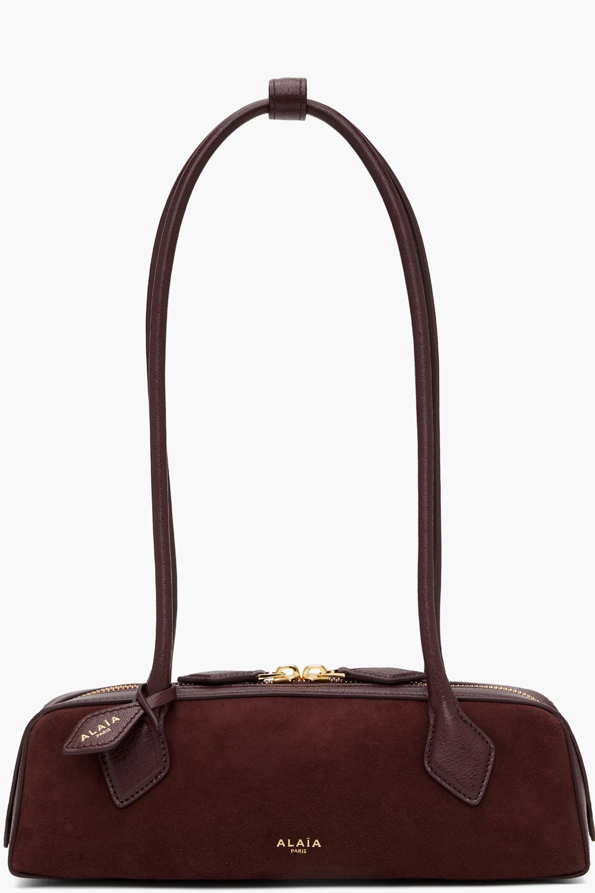 Burgundy 'Le Teckel' Small Bi-Material Bag