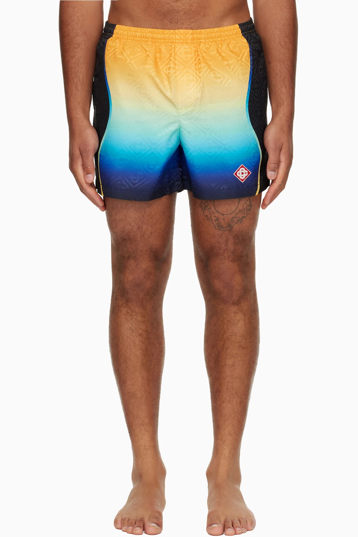 Multicolor Gradient Jacquard Swim Shorts