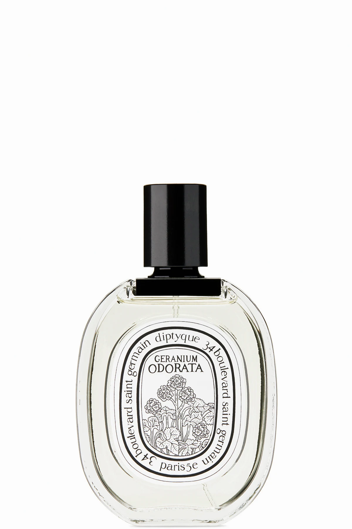 Geranium Odorata Eau De Toilette, 100 mL