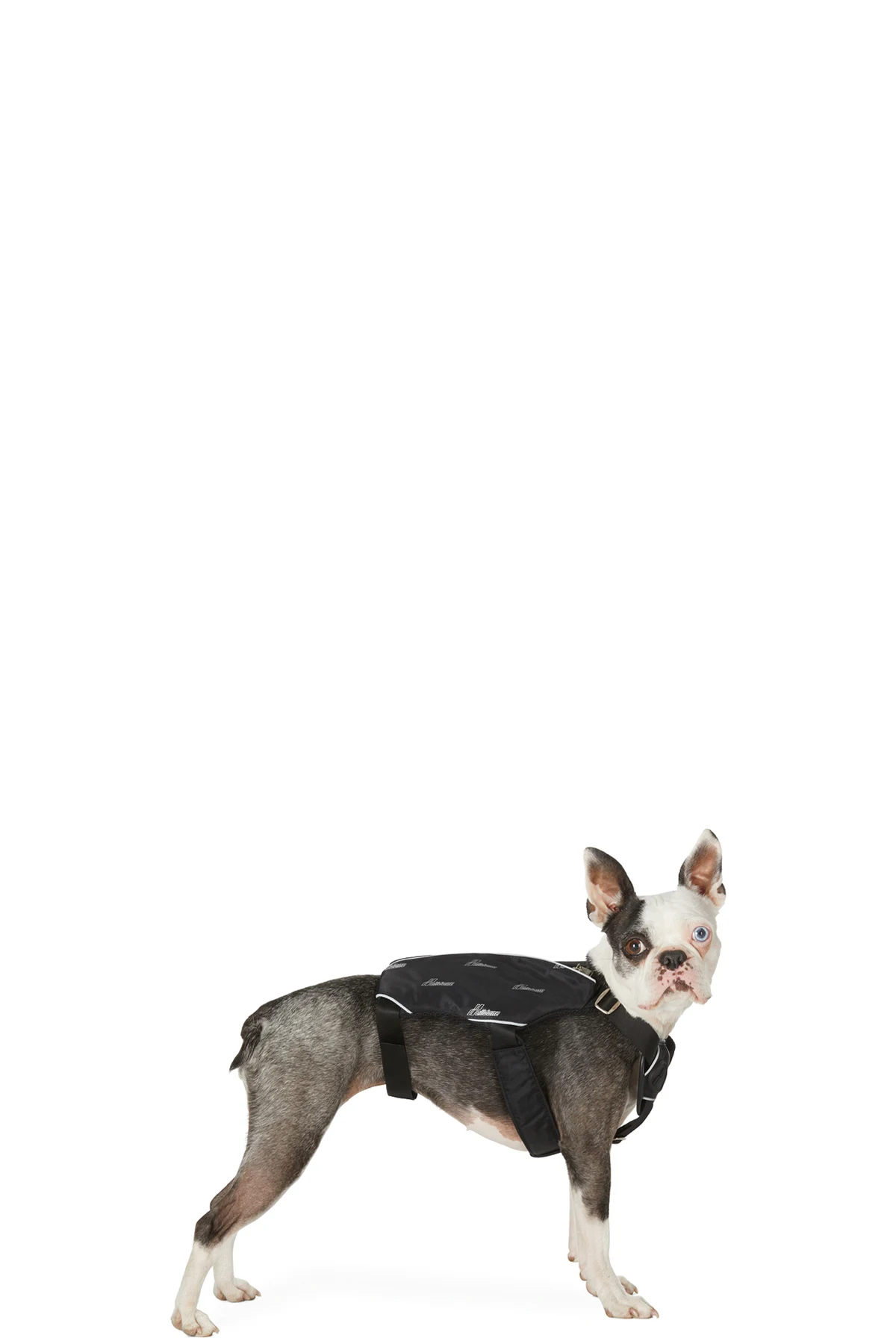 SSENSE Exclusive Black Logo Harness