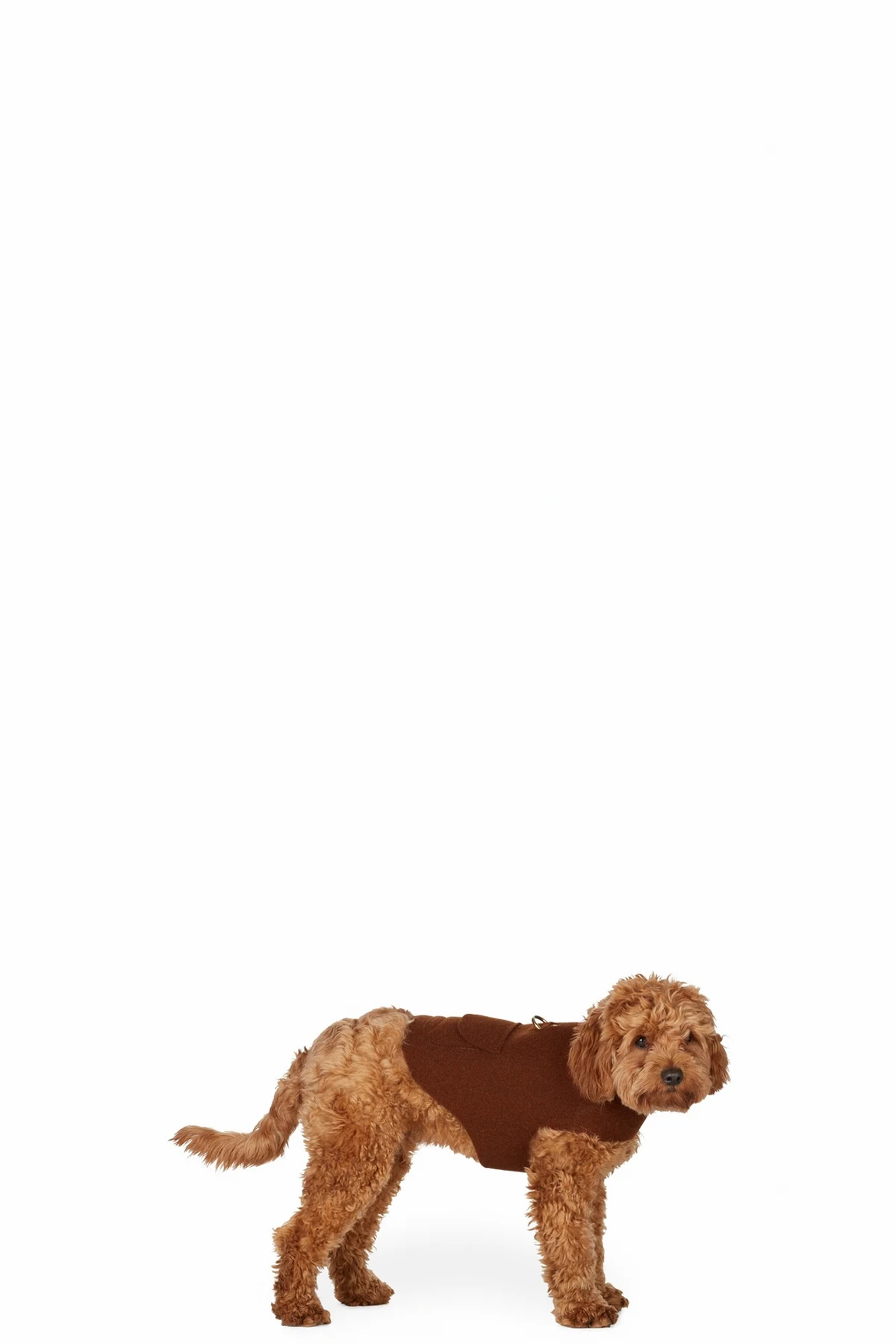 Brown Wrap Up Jacket Harness